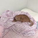 연우실크