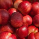 승주유통 티스토리