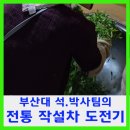청아다원 | 부산대학원 석.박사팀의 전통 작설차 도전기