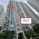 반안초교 이미지