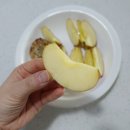 리더스팜플러스