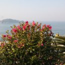 장사도해상공원 이미지