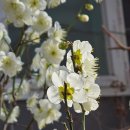 연제구 보훈회관 이미지