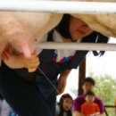 태신목장 이미지