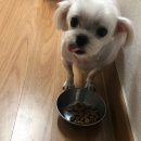 위례나무동물병원 이미지