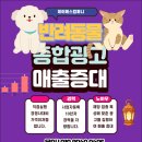 고양이입양소 | 강아지입양 광고, 감정 없는 정보는 아무 의미가 없습니다