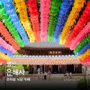 The 스테이 영천 | 경북 영천 은해사 카페 식당 템플스테이 주차장