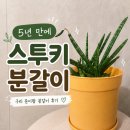 준이팜