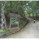 茶香 가득한 休스테이, 순천전통야생차체험관 이미지