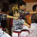 화랑태권도체육관(태권) 조선일보