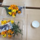 연수구자원봉사센터 | 연수구자원봉사센터- 자원봉사자보수교육 꽃식초만들기