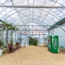 송백펜션 이미지