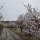 탄금야구장 이미지