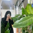 풀로진 이미지