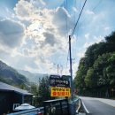 자작나무뜰 오토캠핑장 이미지