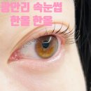 광안리 속눈썹 잘하는 한올 속눈썹 솔직후기