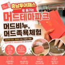 보령 머드테마파크 | 충남투어패스 보령머드축제 가야할곳 머드관 머드비누 제공 ,뷰티치유관 족욕...