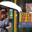 조모잡화 네이버블로그