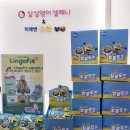 숙제까지도 재미있다?! 1:1 개별맞춤숙제 링고핏
