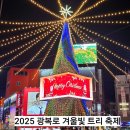 분수광장약국 | 부산 1월 가볼만한곳 2025광복로 겨울빛 트리 축제&amp;롯데백화점광복점 페이페이 쌀국수 다녀온 후기