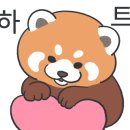 안경창고콘택트 이미지