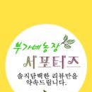 J농장 이미지