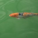 호수빌딩 이미지