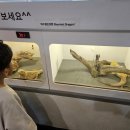 킹아이스크림아산 이미지