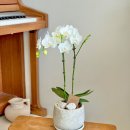 좋은날,여기 이미지