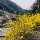 만연농장 이미지