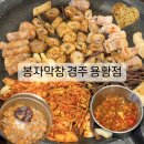 봉자막창 경주 용황점 : 현지인 추천 경주 막창 맛집 후기 (생삼겹살/막창 반반) 팥빙수, 라면 무료 제공