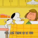 (주)돼지와 건강 이미지