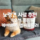 강아지 노령견 알러지 사료 케어바이 헬씨포뮬러