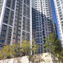 내외양경로당 | 14탄-동구/초량 베스티움 센트럴베이 깨알임장기 (상세분석- 타입별/일조/주차/조경)