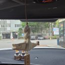 핑크스토리 - 진천군 중앙동6길 20 | 새차 선물 고민 끝! 의미도 있고 귀여움도 있는 핑크곰스토리 액막이 명태 후기