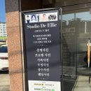 세종시 사진관 스튜디오드엘리 프로필 촬영 섬세한 1:1보정까지!