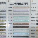 검성로-8 이미지