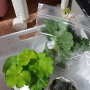 신나는 날 이미지