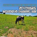 광활농업협동조합 | [여행] 경기 안성공도 농협경제지주 안성팜랜드 방문: 직접 만지고 먹이주며,한포기의 가치를 배우는...