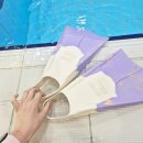 오리발 숏핀 후기 : 보라색 집착녀의 사이드킥 숏핀 하드 퍼플 후기와 핀서포트 핀삭스