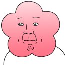 부스틴 이미지