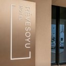 스테이 레브 이미지