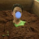 생생생공화국 이미지