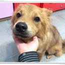 아이조아요양보호소 부산점 이미지