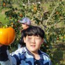 월봉초등학교 네이버블로그