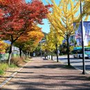 성포예술광장 이미지