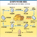 금고양이 이미지