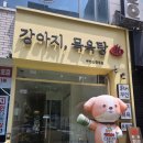 강아지 목욕탕 이미지