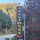 공작산계곡 오토캠핑장 | 강원도 홍천 공작산계곡오토캠핑장, 애견동반 가능한 숲속 캠핑장으로 추천