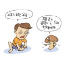 여름철 우리를 괴롭히는 곰팡이의 정체 이미지